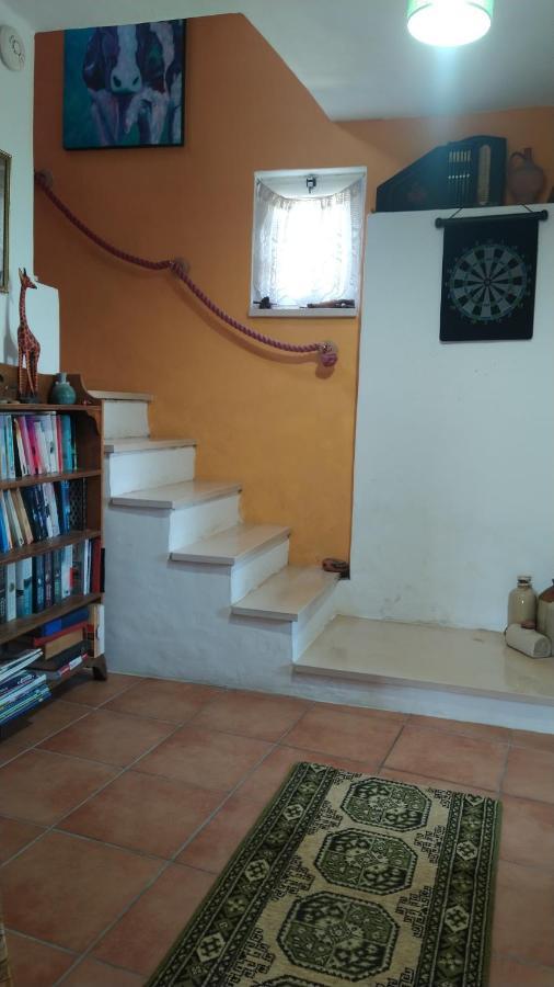 Casa Da Casimira Villa Miranda do Corvo Ngoại thất bức ảnh