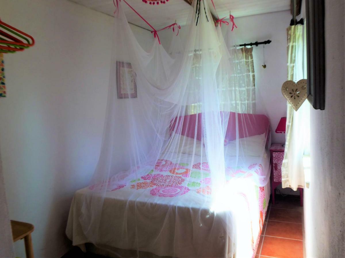 Casa Da Casimira Villa Miranda do Corvo Ngoại thất bức ảnh